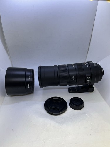 Sigma apo 150 500mm - sigma, f5