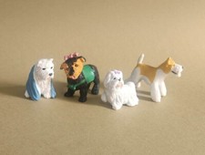 Westie yorkshire terrier - 45_westie,,