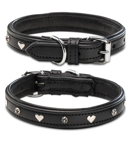 Jack russell collare per - russell,