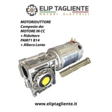 MOTORIDUTTORE 12V 400W 100RPM SALPA PALAMITO SALPARETE VERRICELLO DC A BATTERIA