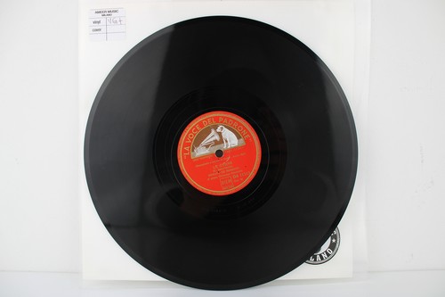 Renato barbieri schon - renato,