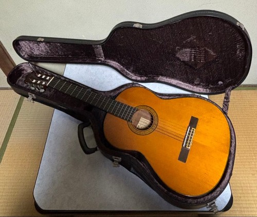 Custodia rigida per chitarra