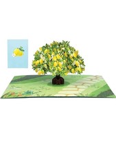 Origamo biglietto di auguri