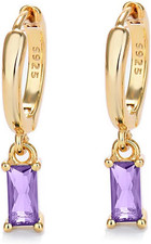 Orecchini a Cerchio Con