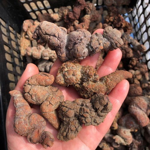 Raro esemplare minerale - 5, kg