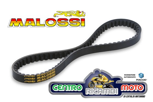 Cinghia trasmissione variatore - cinghia,