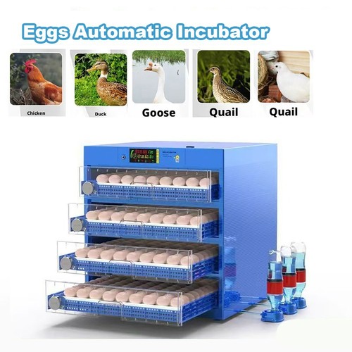 Incubatrice automatica