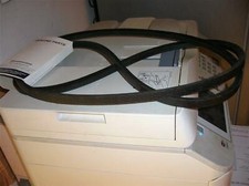 CINGHIA CINTA MOTORE PULEGGIA