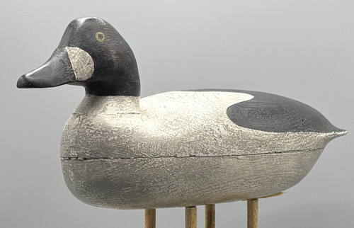 Sec nj goldeneye - sec.,