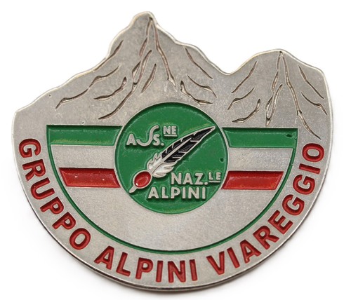 Distintivo alpini gruppo - alpini,