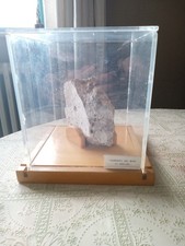 Frammento del muro di berlino in teca di plastica