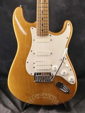Fender American Standard