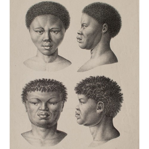 Joseph brodtmann porträt - joseph,