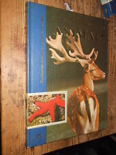 Come ci si muove nel regno