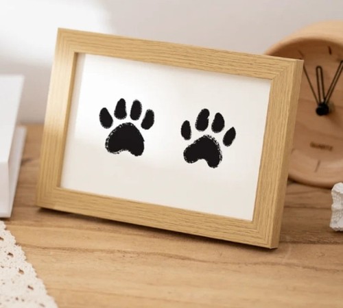 Kit impronta zampa cane gatto - kit,