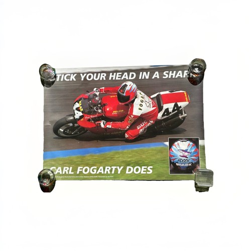 Poster casco squalo carl - poster,