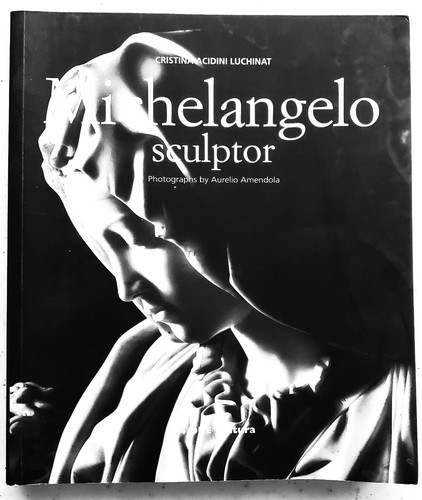 Michelangelo scultore - michelangelo,