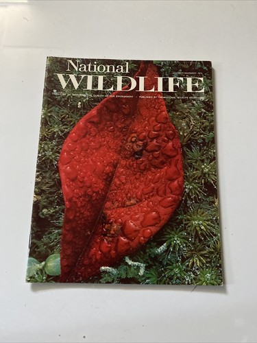 1974 nov national - nov, wildlife