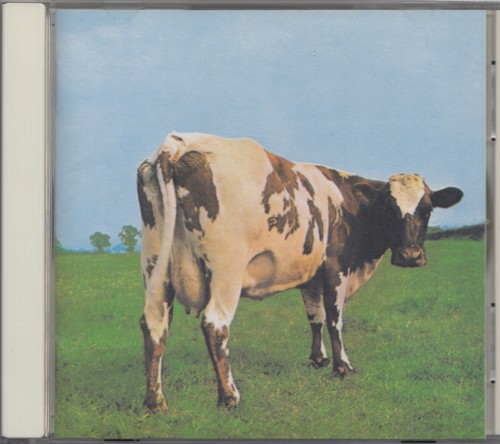 Pink floyd atom heart - pink,
