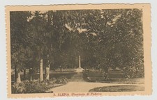 S. ELENA PADOVA VIA ALBERATA