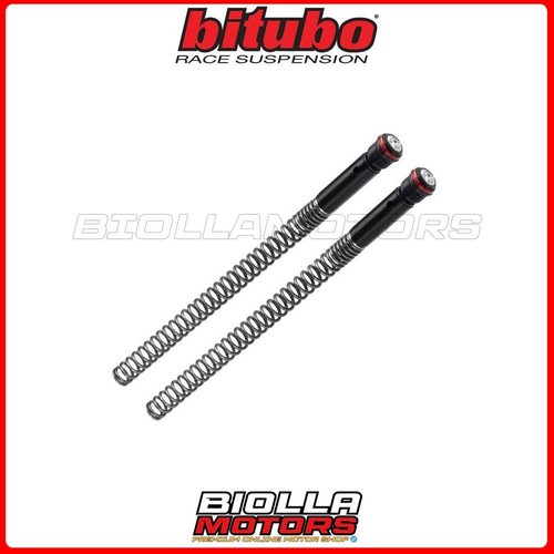 Kit molle tappi forcella - +,