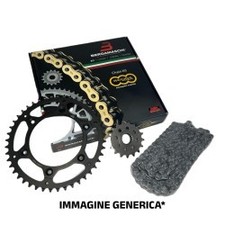 Kit Catena Gas GAS450 Ec F 24