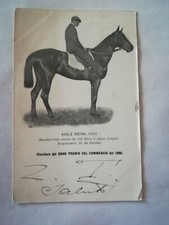 IPPICA - CAVALLO AIGLE ROYAL -