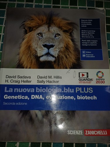 9788808964304 nuova - 9788808964304,