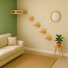 Set da Parete per Arrampicata