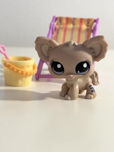 Cucciolo cane 1060 - , chihuahua