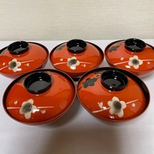 Set 5 zuppiere con coperchio