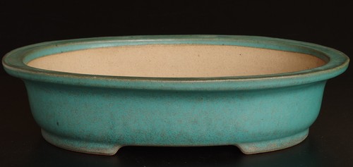 Vaso per bonsai - , reiho