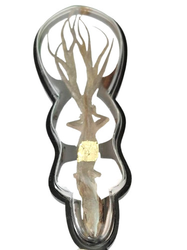 Amuleto geco tailandese mitico