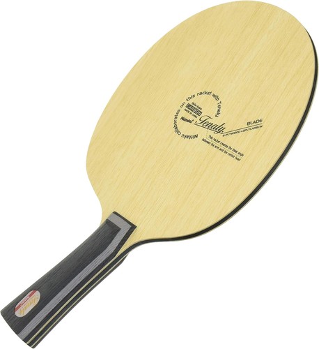 Racchetta ping pong - racchetta,
