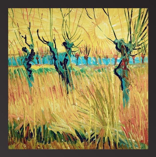 Willows sunset vincent - at,