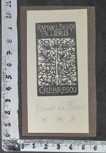 Wunderkammer exlibris 631 - wunderkammer,