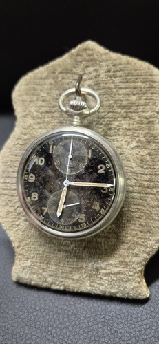 Minerva ch alpina - 9,