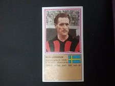Album Panini Calciatori