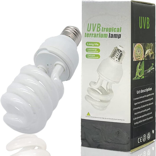 Rettile lampada tartaruga luce - lampada,
