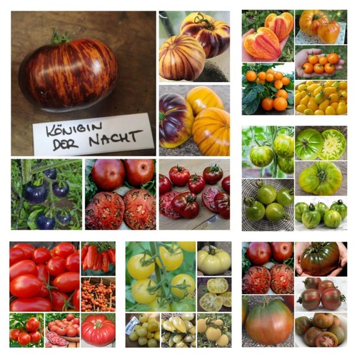 Assortimento palette - assortimento,
