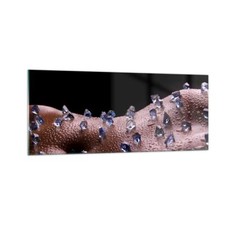 Quadro su Vetro 100x40cm Corpo