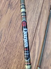 Daiwa Canna da Colata 2 Pezzi