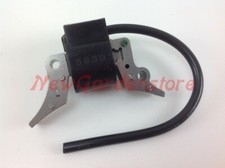 Bobina accensione briggs &