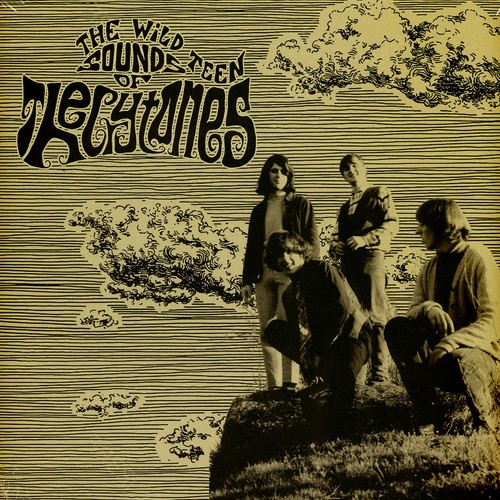Crytones hippie flippin - crytones,