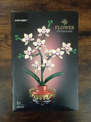 Orchidea vaso - orchidea, +