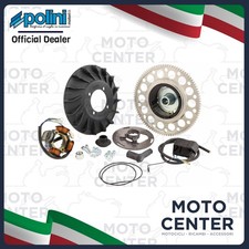 ACCENSIONE POLINI KG. 1,4 CON