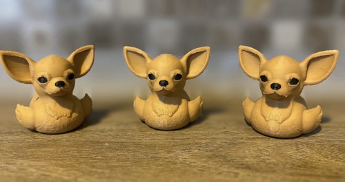 Anatra chihuahua - anatra,