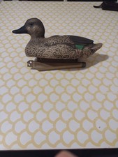 Solognac Stampo Decathlon Femmina di Alzavola 