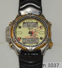 Citizen Aqualand Duplex