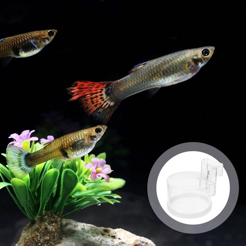 Acquario accessori per di - accessori,